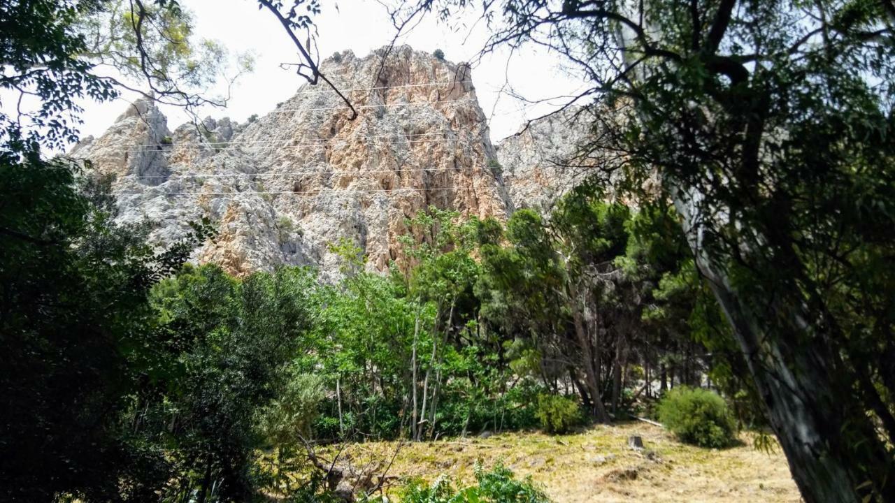 Casa Encina - Encinasola Turismo Rural. Álora